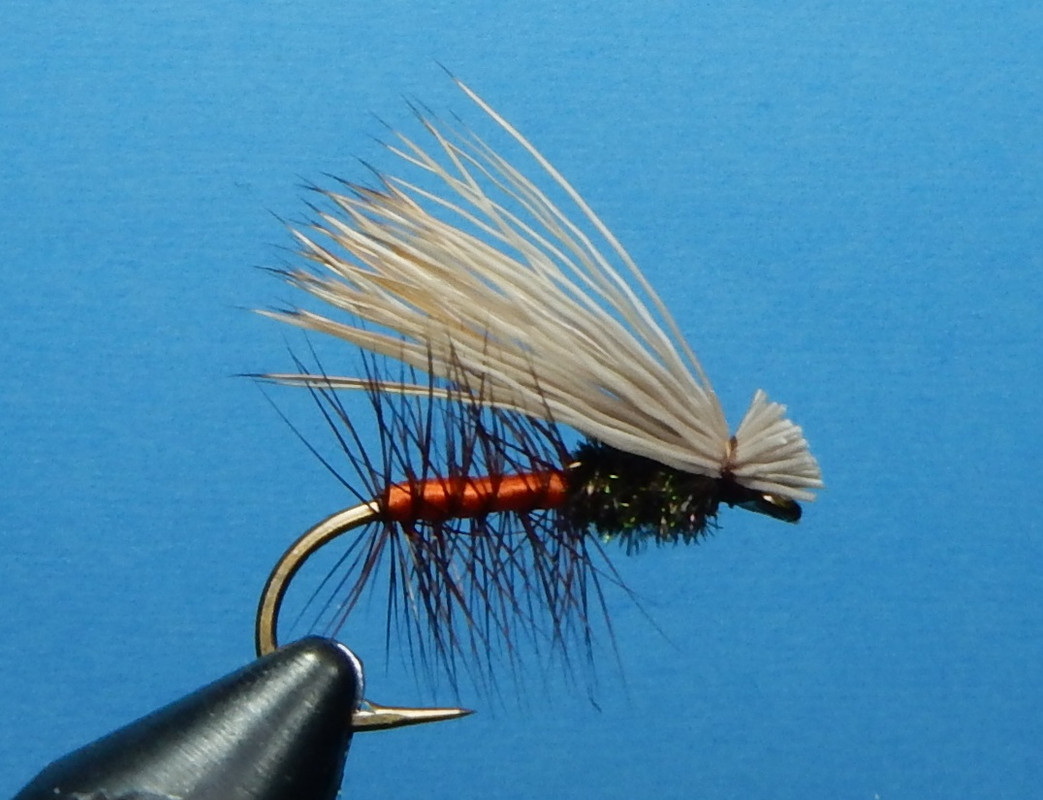 Lacy-s-Caddis-1080.jpg