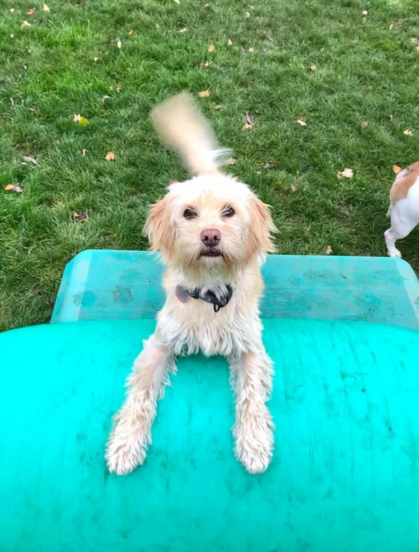 WhatsApp Image 2020-12-03 at 16.05.04