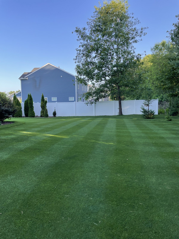 BFAB100E-75C3-4D3A-966C-1D49B447A507