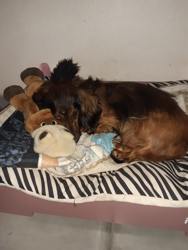 [Image: 20220323-075516.jpg]