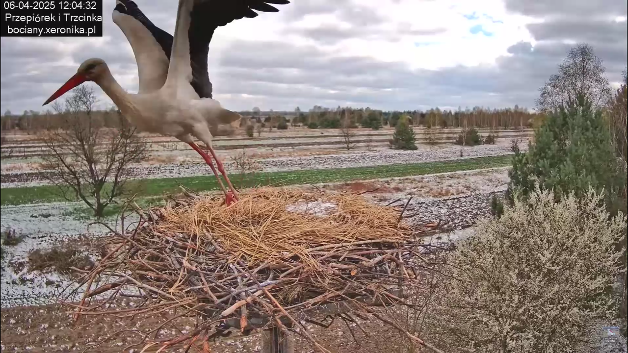 06042025minutazbocianem_23