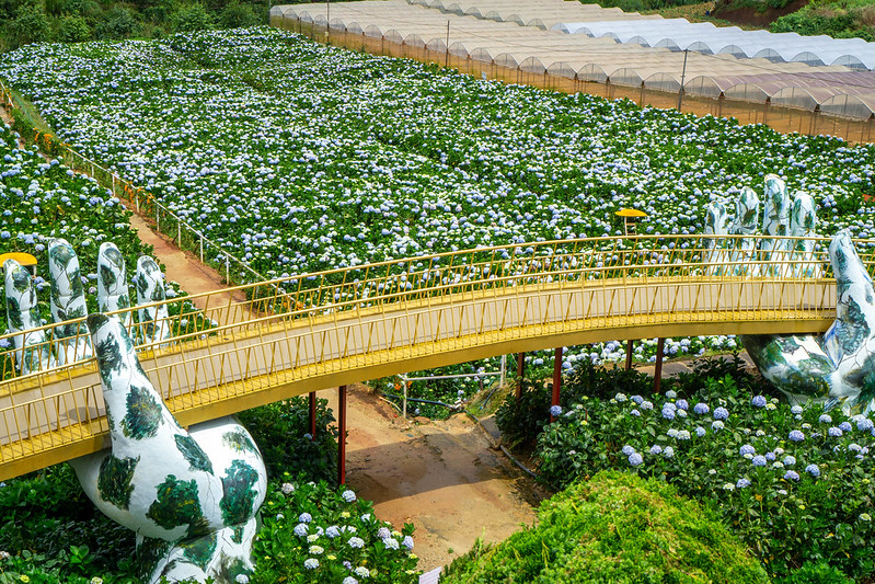 Suasana kebun bunga di Da Lat, Vietnam. Simak ide itinerary untuk liburan selama 3 hari 2 malam.