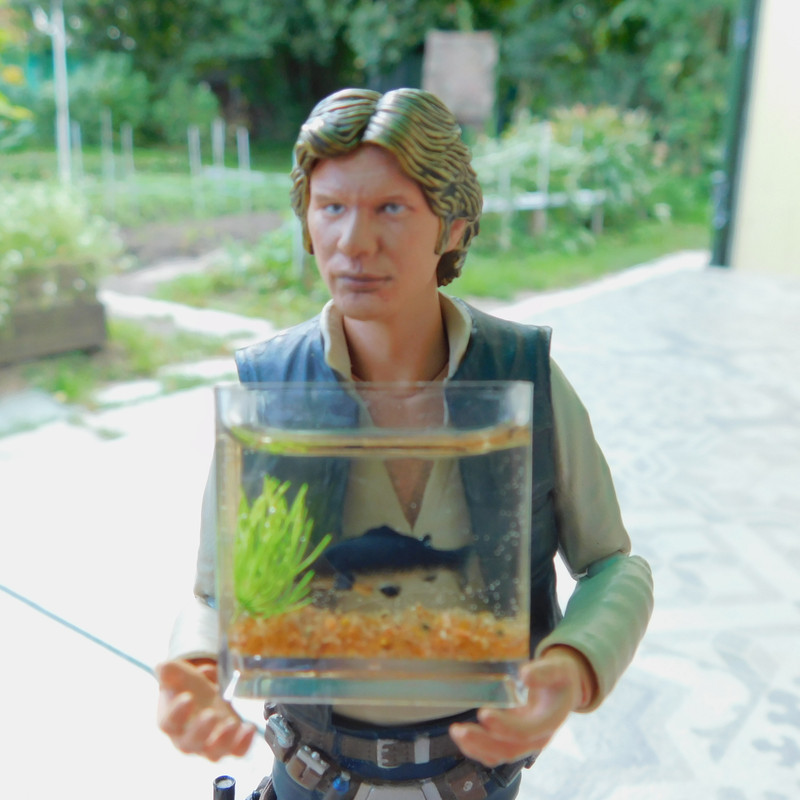 Дачное Маттел к Хелл 2025, Харли и Ко продолжение 195