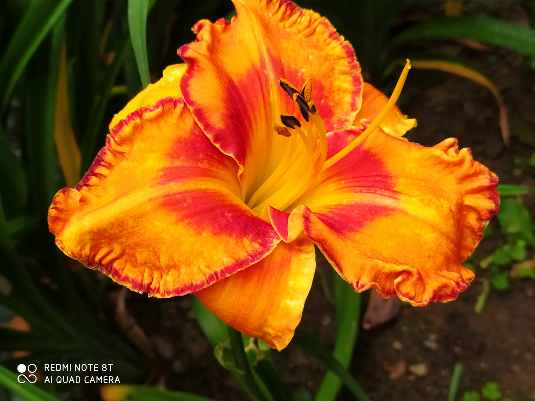 IMG_20200617_103755