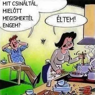 https://i.postimg.cc/cJHJLBKC/mit-csinaltal.jpg