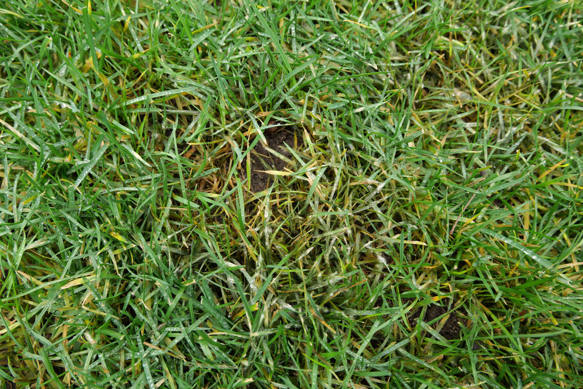 TGA 20220124 (von 20201009)