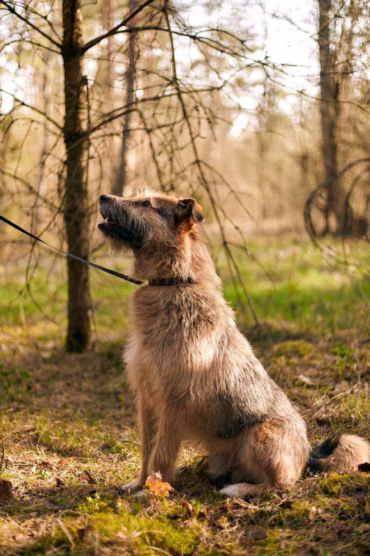 photo 2025 11 27 22 29 44