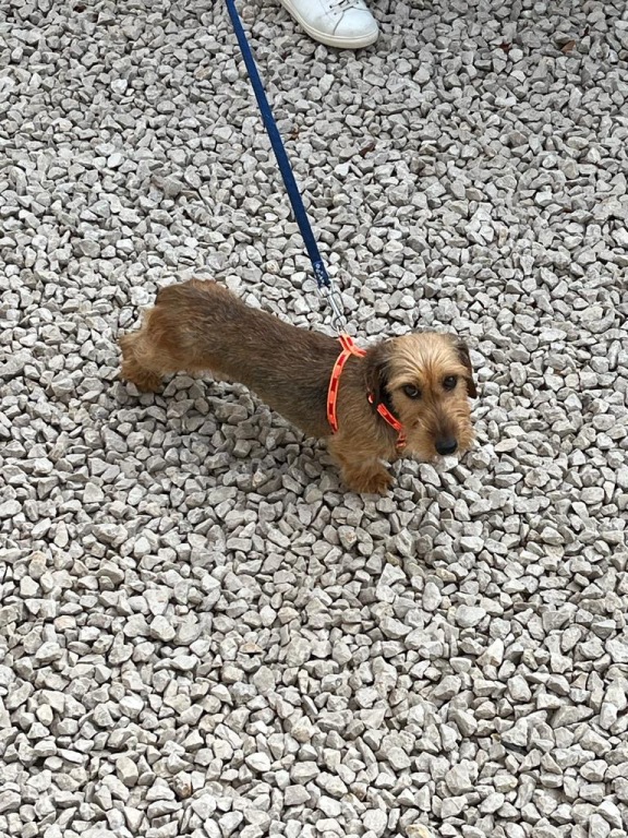 [Image: IMG-4538.jpg]