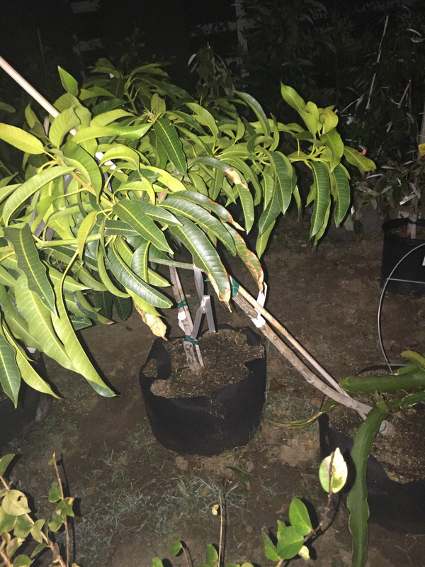 50B7DAA6-9AAC-4FAA-874D-A8DBC373A4C1