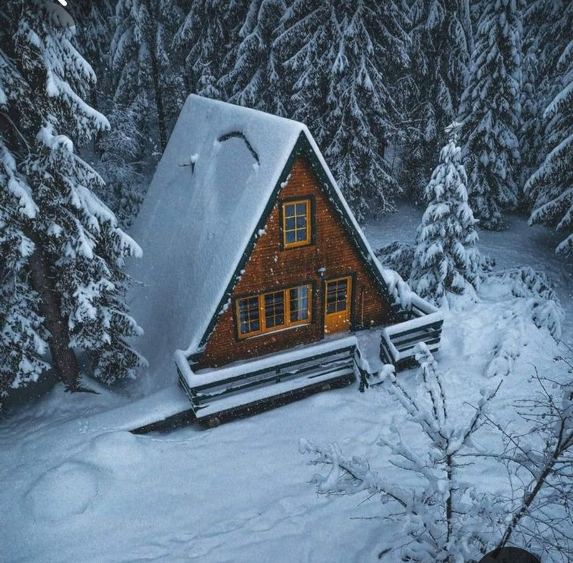 Screenshot_20230403_235643_Pinterest