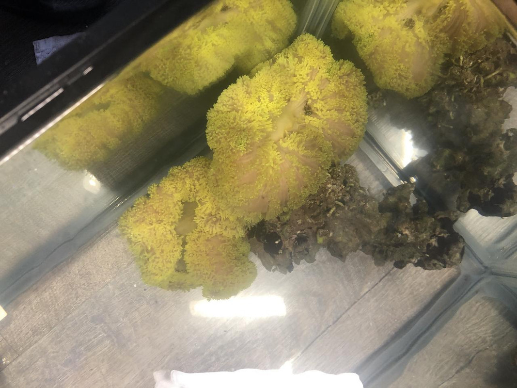 716A6B8D-A7C4-4E07-9ACF-54F21F26CD6D