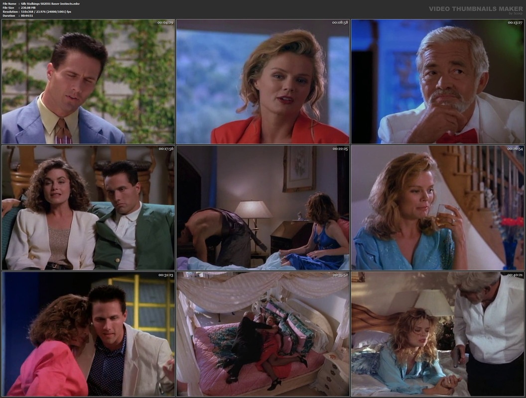 Silk Stalkings S02E01 Baser Instincts.mkv