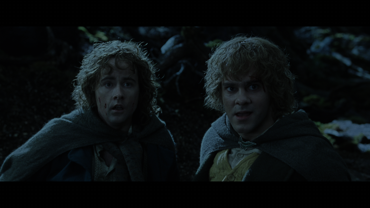 The Lord of the Rings- The Two Towers (EXT.) PT. 1.mkv_snapshot_00.38.34_[2020.12.08_17.57.25]