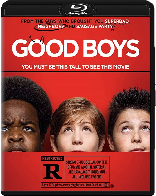 Grzeczni chłopcy / Good Boys (2019) MULTi.1080p.BluRay.x264.DTS.AC3-DENDA / LEKTOR i NAPISY PL
