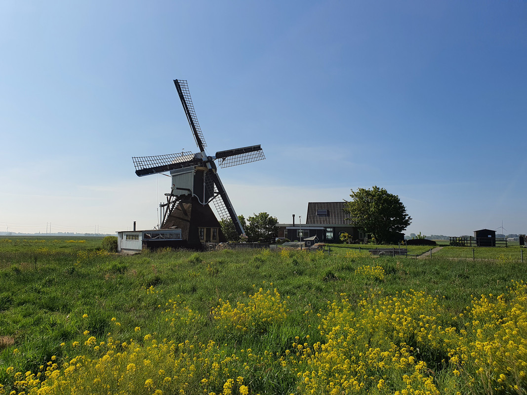 Pieter Zuijkerbuijk, Achthovense Molen 02 Leiderdorp 08-05-2020