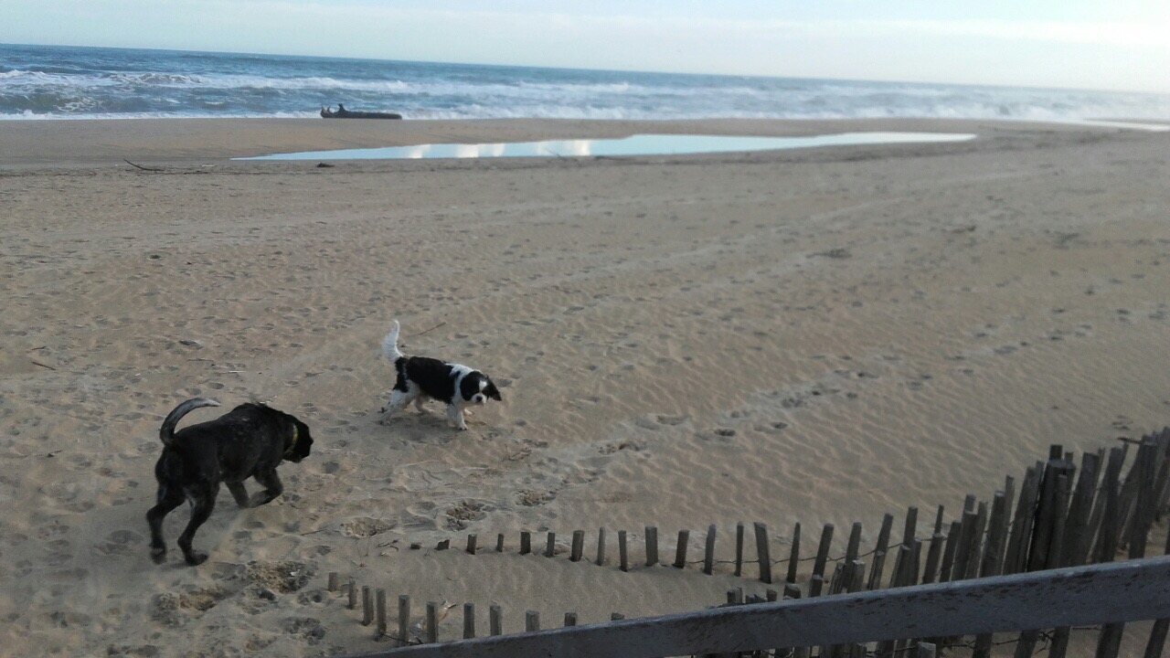 2F13A076-14D7-49BA-AE78-216418AFB9BD