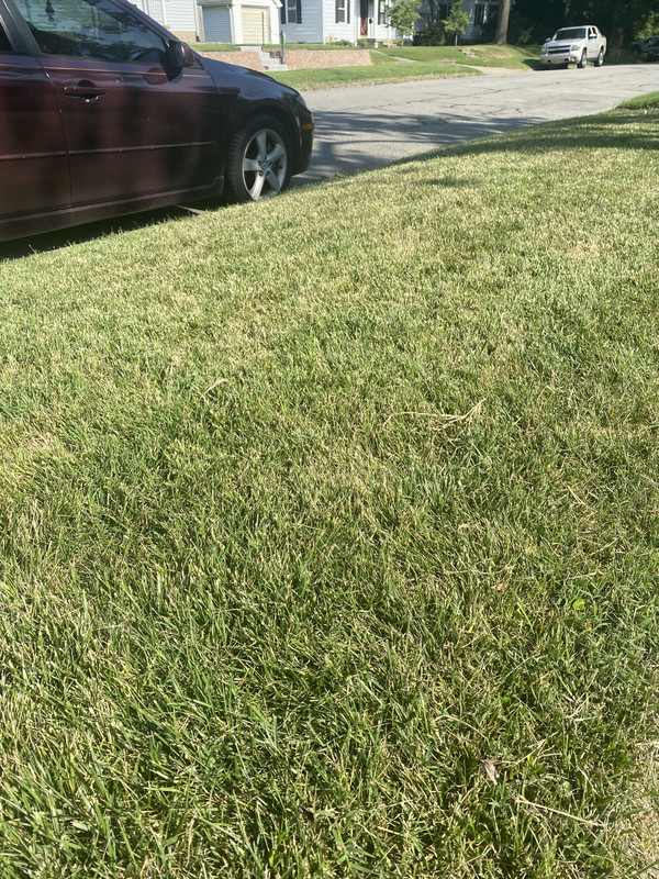 6A38099C-3414-48EE-84D7-1CE580068E11