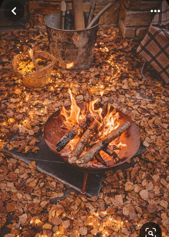 Screenshot_20231117_213707_Pinterest