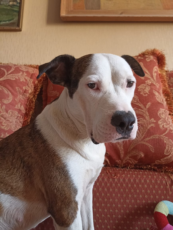 5EB852EE-961A-4C5B-A9C1-360F32B47723