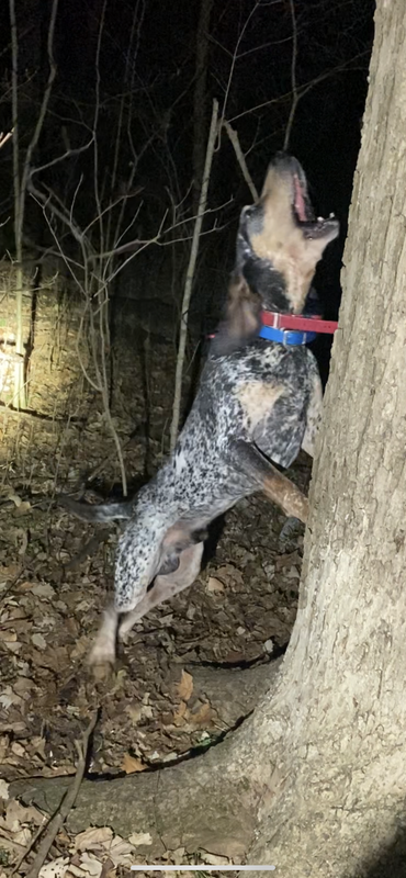 73431307-9B5E-4B15-9CF0-7EAD3A4F4D7A