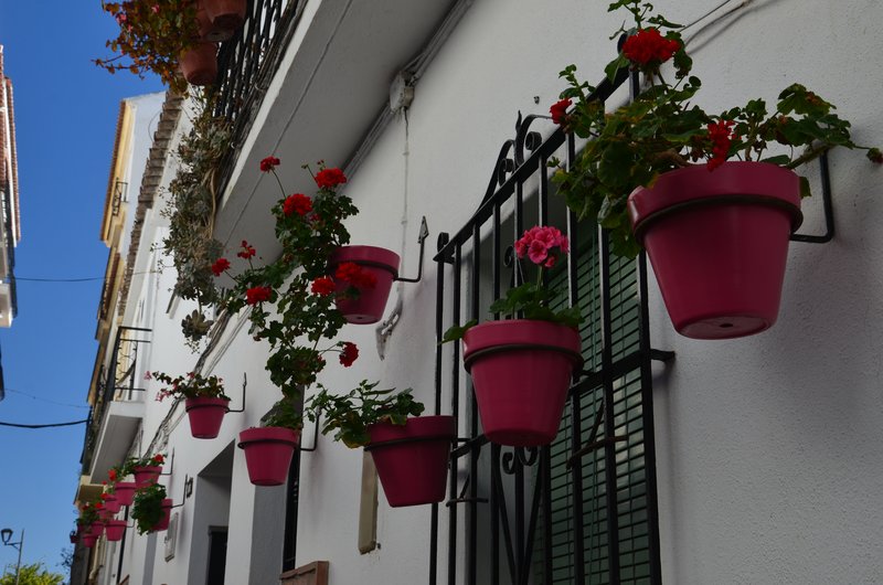ESTEPONA-9-3-2017 - Málaga y sus pueblos-2009/2017 (62)