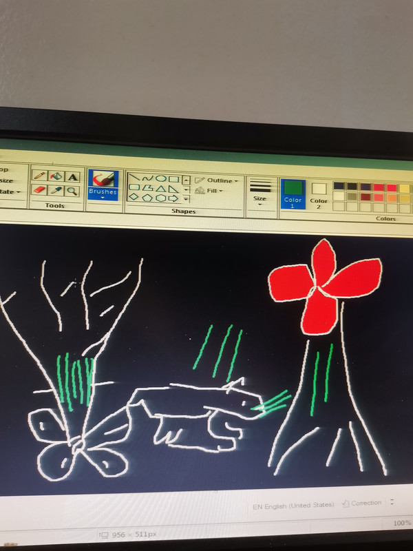 ���� ���� ������ �� ���� ������