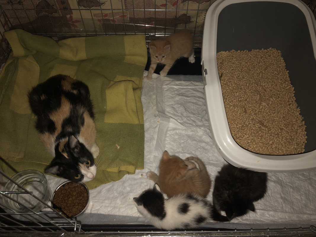 285C250F-8C35-4A94-B464-30D62381A1BD