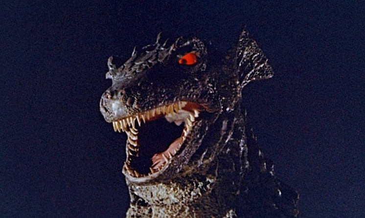GORGO-GORGO-3-A-FOTOR.jpg