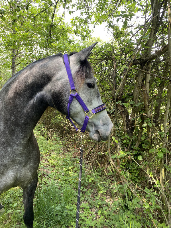 0AA50815-099D-4E35-A32D-FEB5A585D334