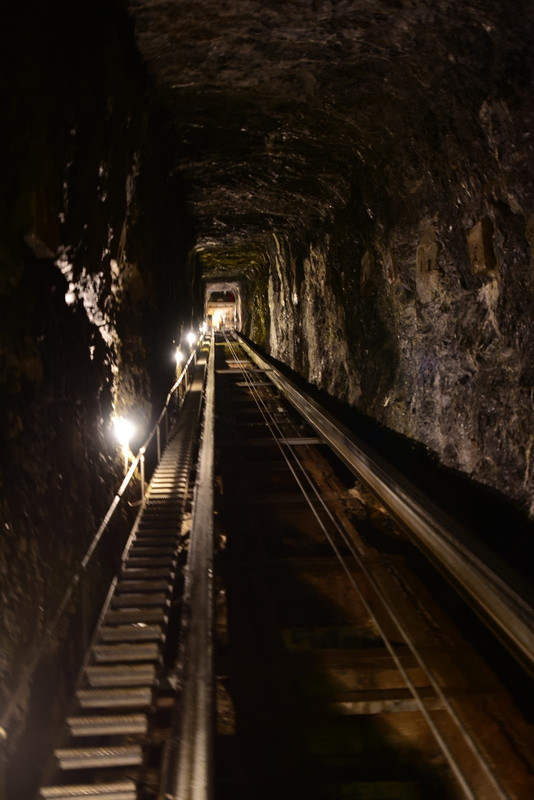 De casa a Grindelwald (Zona de Interlaken) - Huyendo del COVID a los Alpes (2020) (21)