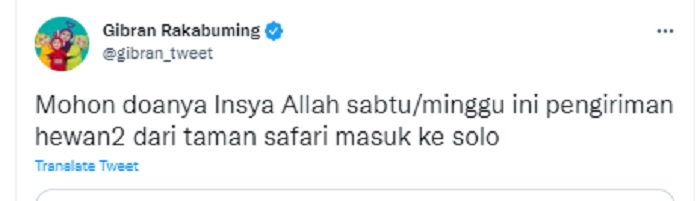 Melalui cuitan di Twitternya, Gibran mengungkapkan bahwa pengiriman satwa ke dari Taman Safari ke Solo akan berlangsung pada Sabtu atau Minggu pekan ini. Ia pun meminta doa dari masyarakat agar pengiriman tersebut dapat berjalan lancar.