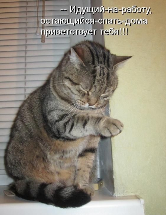 30 oktabra 2025 S Dobrejsim