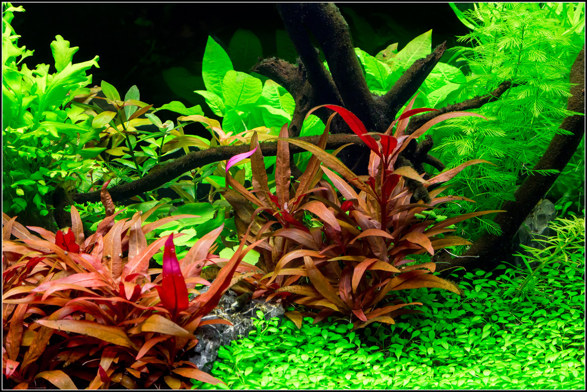 2017_03_02_300Litri_2464