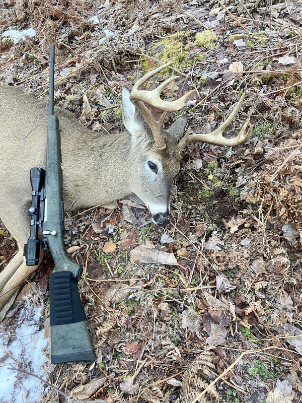 89E2A6B8-407E-46E4-957B-03134C3C9954