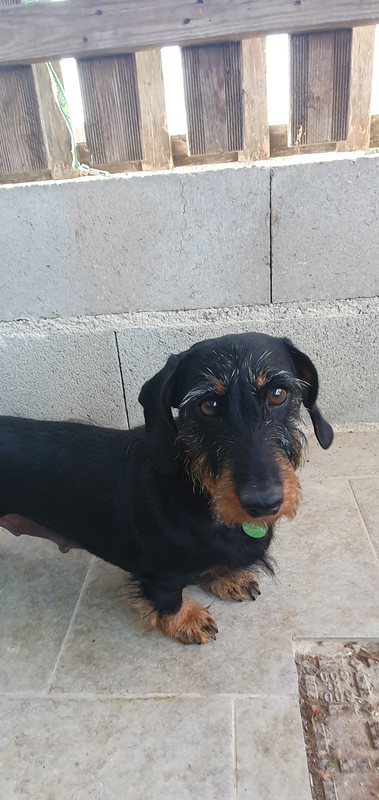 [Image: 20230707-202541.jpg]