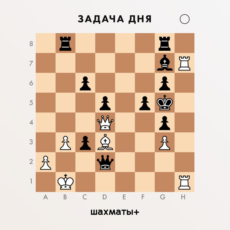 IMG_20230315_124048_367