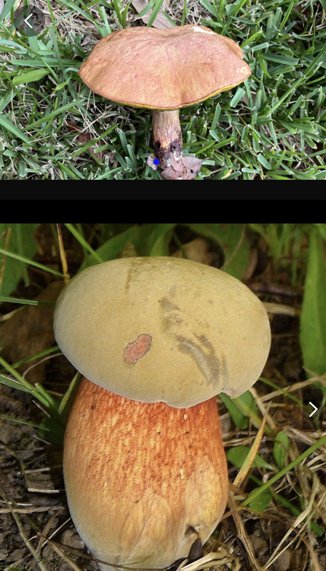 D521AC49-3522-4242-A835-D9C0D93B21A4