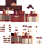 Racecar ~Inspirinq (PR) Minecraft Skin