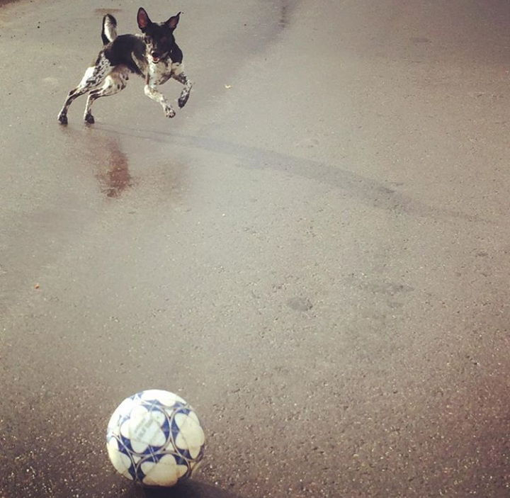 405A13E4-353C-4305-B1BA-E8170B1B1D94