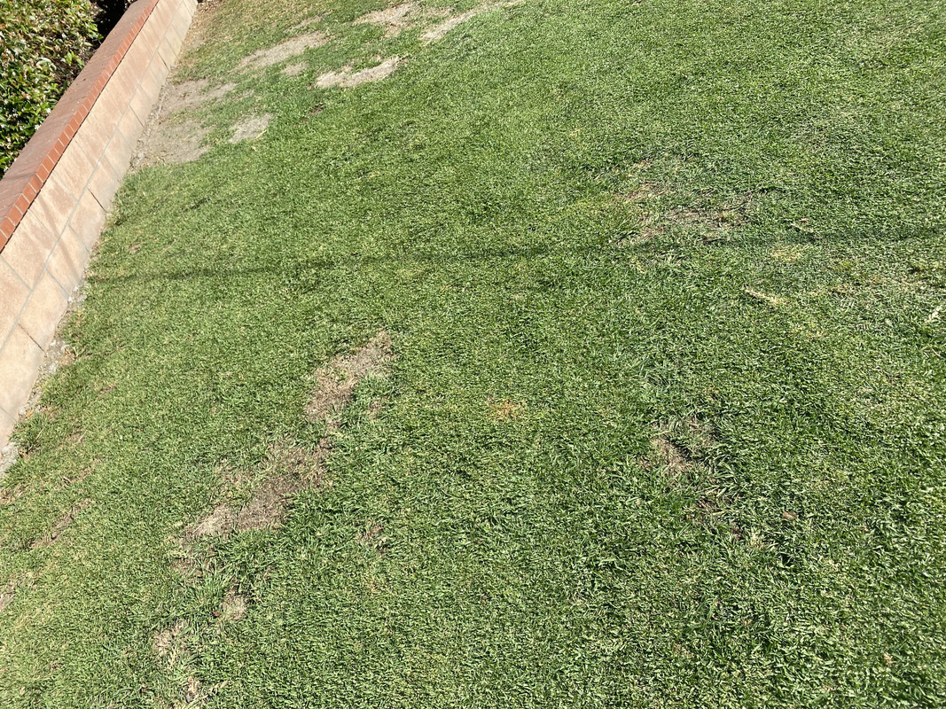 1C216F69-2C56-45DD-8894-1615A11DADA7