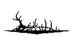BY-Bionic-Bandit2.png