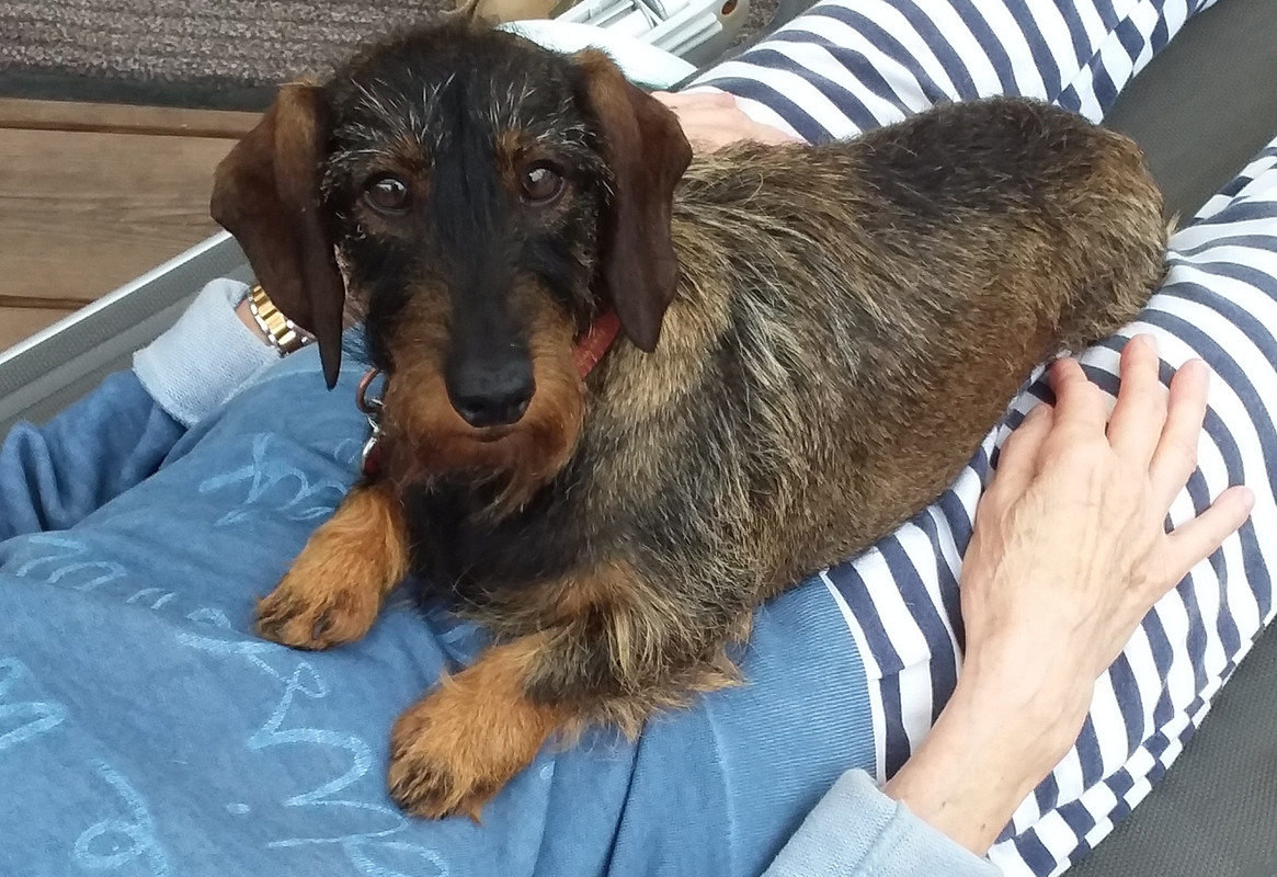 [Image: 20210902-154952.jpg]