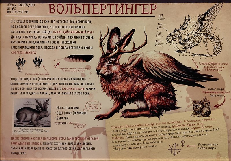 https://i.postimg.cc/cJMzncMw/071-IMG-20250128-145503.jpg