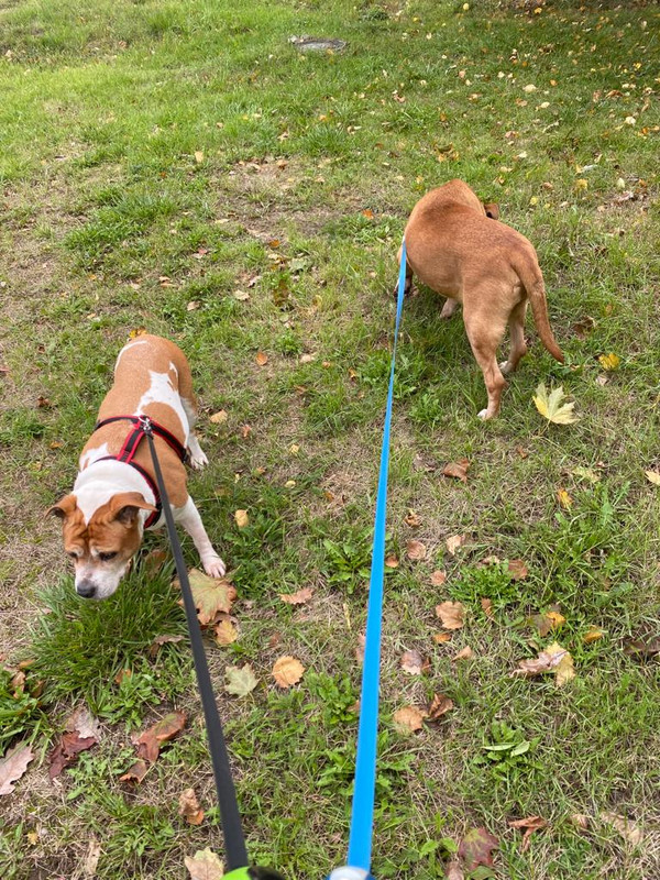 3D6134FB-E680-4DCB-B960-8DD2E1671B20