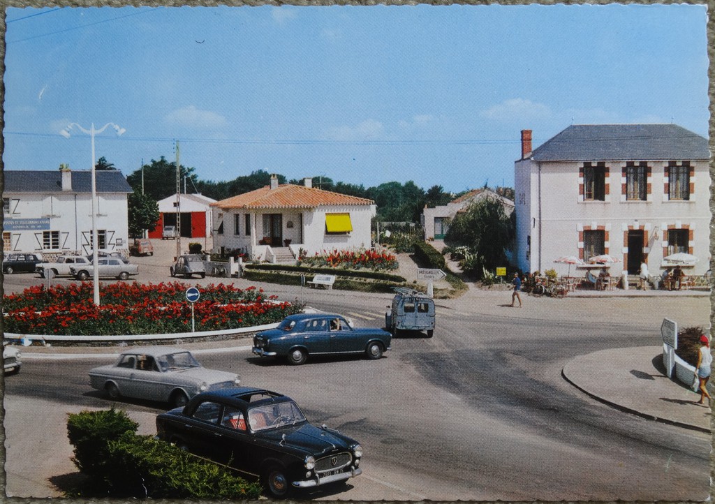 DSC05776 (2)