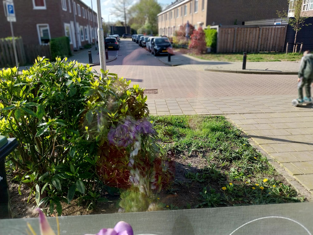 Afbeelding