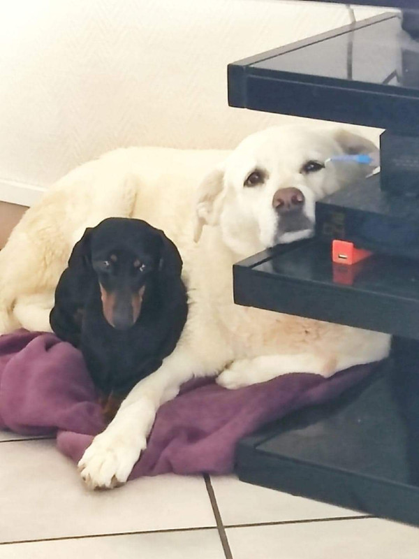 [Image: received-1231709337689971.jpg]