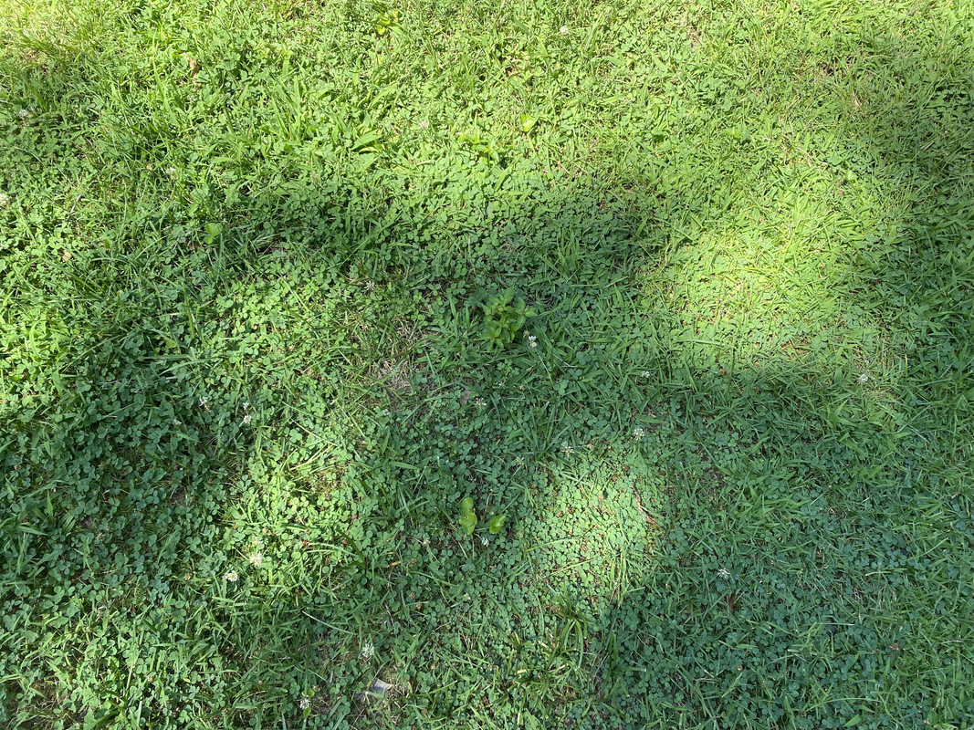 E85CBC5C-CB4C-48F1-88D8-F7AF3BE17AA9