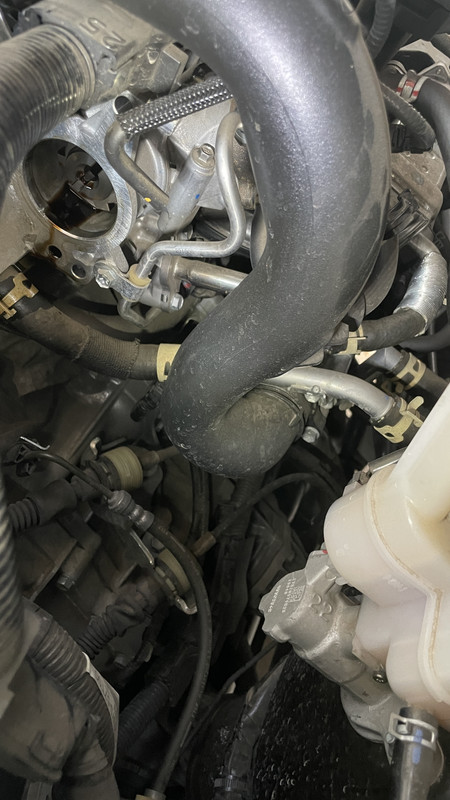 1EB077D1-B412-4EA8-BE2D-0ED63D29370D