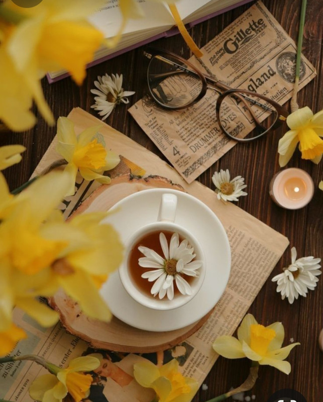 Screenshot_20240424_225929_Pinterest